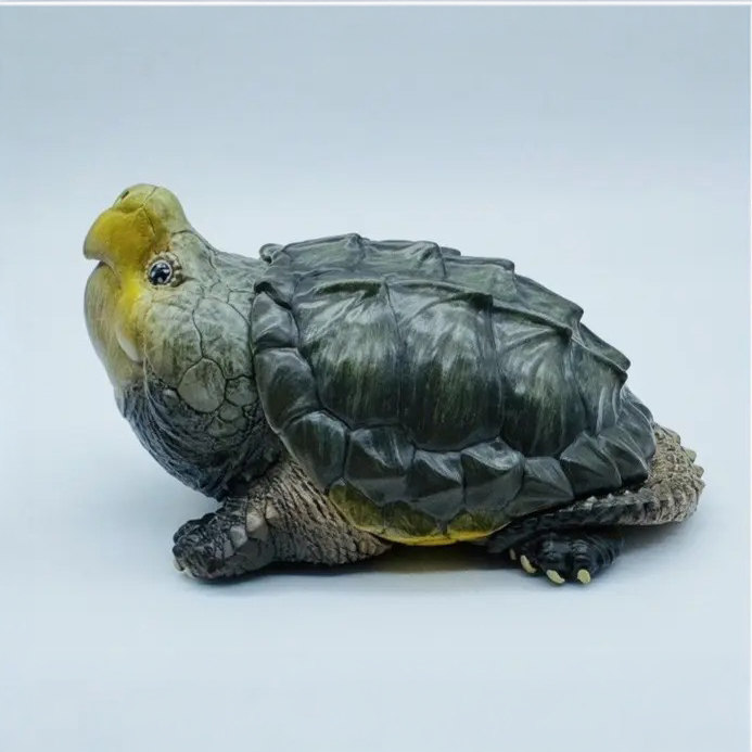AHB-V22-03-07 AHB Series 22 - Alligator Snapping Turtle – Macrochelys temminckii | Turtle