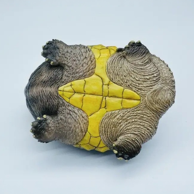 AHB-V22-03-08 AHB Series 22 - Alligator Snapping Turtle – Macrochelys temminckii | Turtle