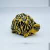 AHB Series 22 - Indian Star Tortoise – Geochelone elegans | Turtle
