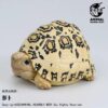 AHB-V22-07-01 AHB Series 22 - Leopard Tortoise – Stigmochelys pardalis | Turtle