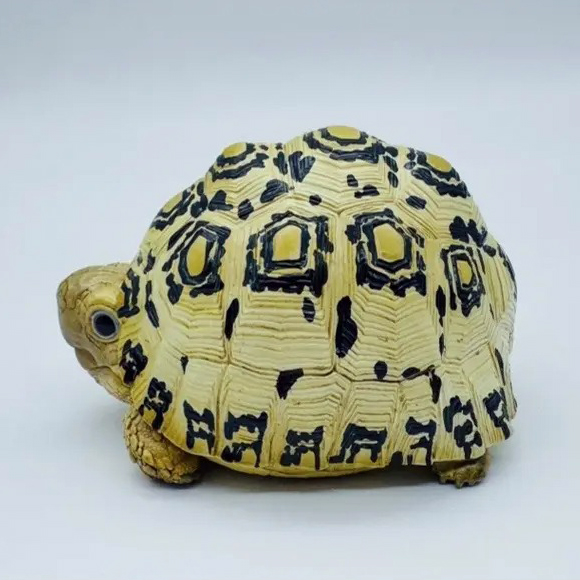 AHB-V22-07-07 AHB Series 22 - Leopard Tortoise – Stigmochelys pardalis | Turtle