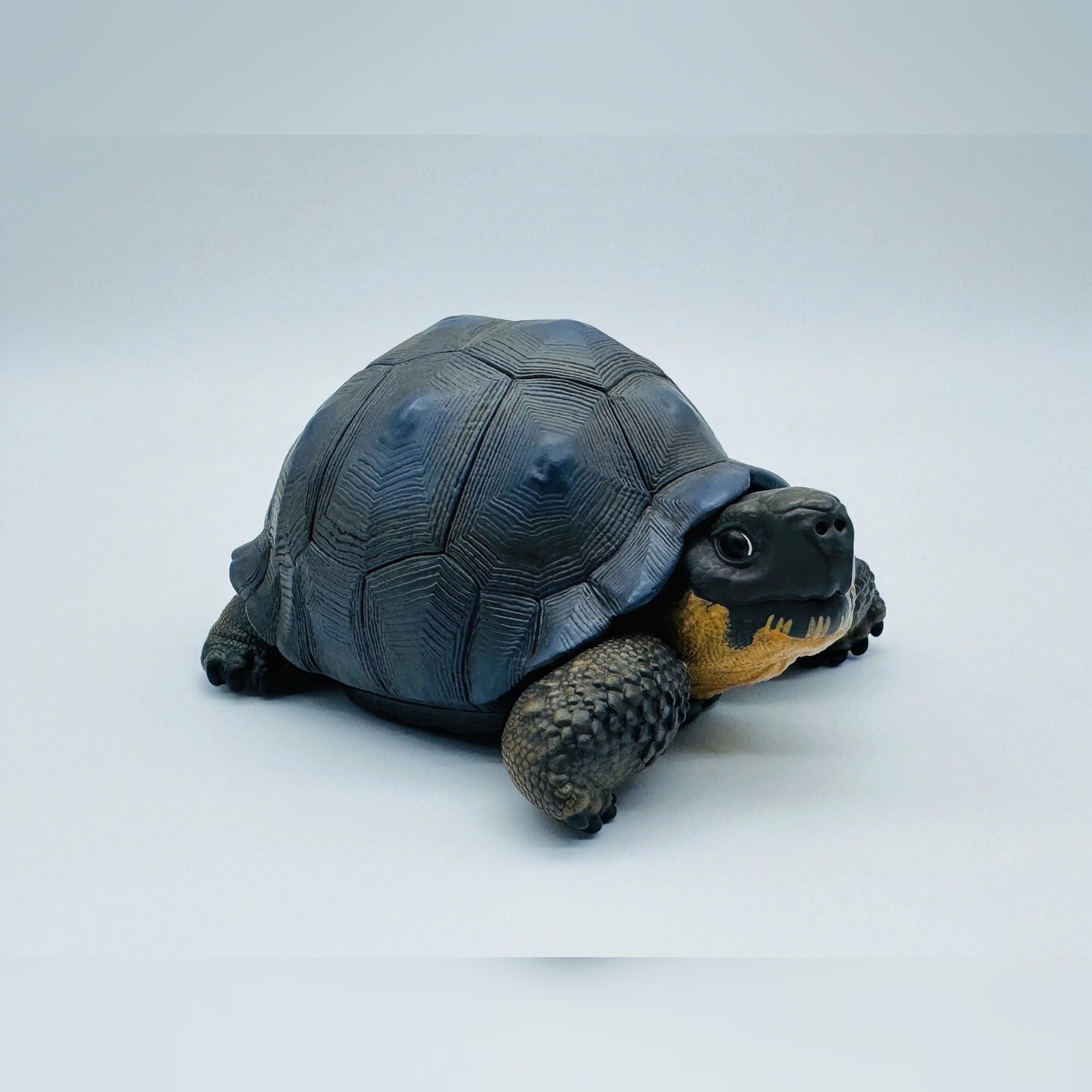 AHB Series 22 - Galapagos Giant Tortoise – Chelonoidis nigra | Turtle