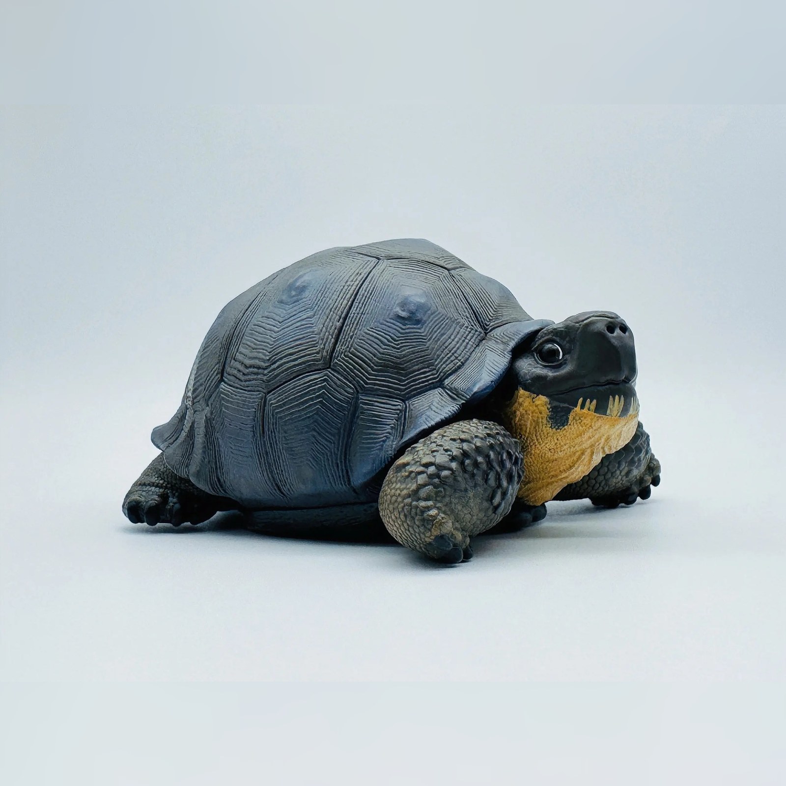 AHB-V22-Hidden-02-240ee443 AHB Series 22 - Galapagos Giant Tortoise – Chelonoidis nigra | Turtle