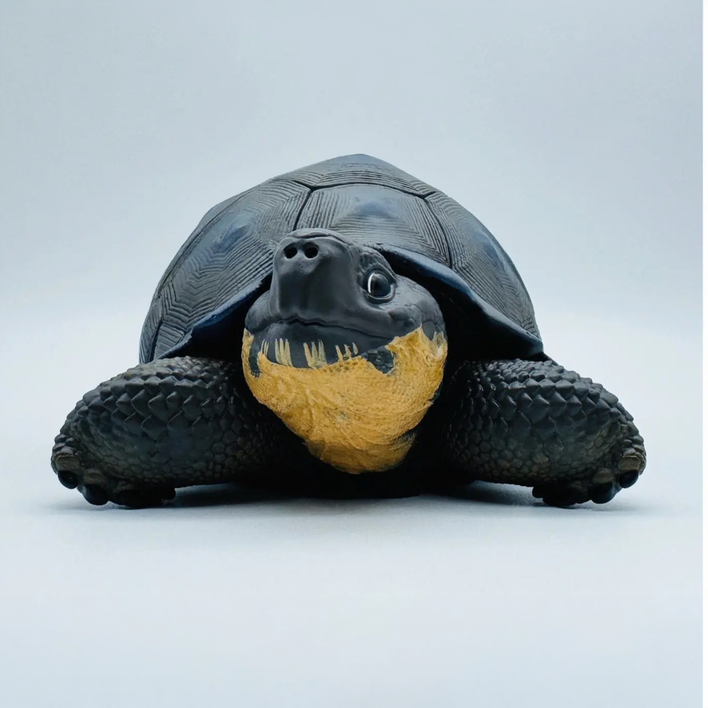 AHB-V22-Hidden-03 AHB Series 22 - Galapagos Giant Tortoise – Chelonoidis nigra | Turtle