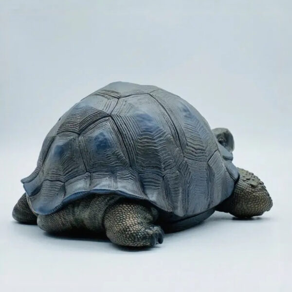 AHB-V22-Hidden-05 AHB Series 22 - Galapagos Giant Tortoise – Chelonoidis nigra | Turtle
