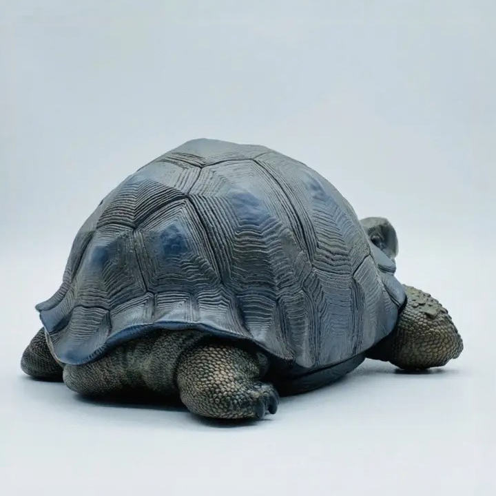 AHB-V22-Hidden-05 AHB Series 22 - Galapagos Giant Tortoise – Chelonoidis nigra | Turtle