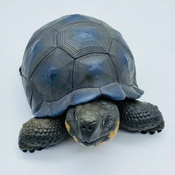 AHB-V22-Hidden-06 AHB Series 22 - Galapagos Giant Tortoise – Chelonoidis nigra | Turtle