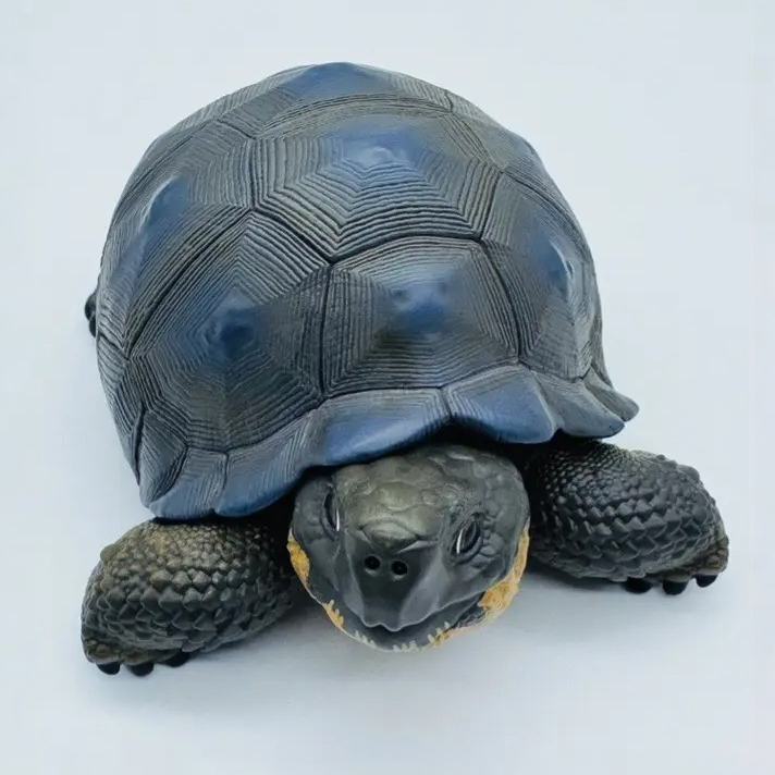 AHB-V22-Hidden-06 AHB Series 22 - Galapagos Giant Tortoise – Chelonoidis nigra | Turtle