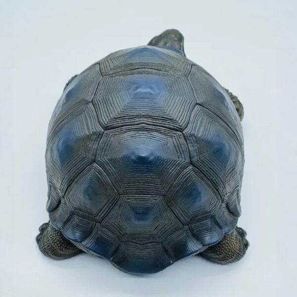 AHB-V22-Hidden-07 AHB Series 22 - Galapagos Giant Tortoise – Chelonoidis nigra | Turtle