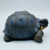 AHB-V22-Hidden-08 AHB Series 22 - Galapagos Giant Tortoise – Chelonoidis nigra | Turtle