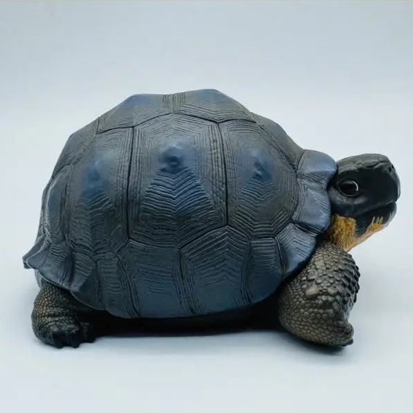 AHB-V22-Hidden-08 AHB Series 22 - Galapagos Giant Tortoise – Chelonoidis nigra | Turtle