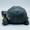 AHB-V22-Hidden-09 AHB Series 22 - Galapagos Giant Tortoise – Chelonoidis nigra | Turtle
