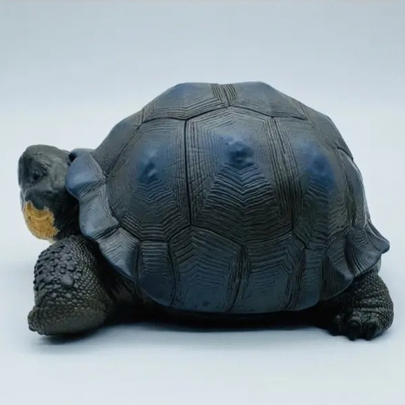 AHB-V22-Hidden-09 AHB Series 22 - Galapagos Giant Tortoise – Chelonoidis nigra | Turtle