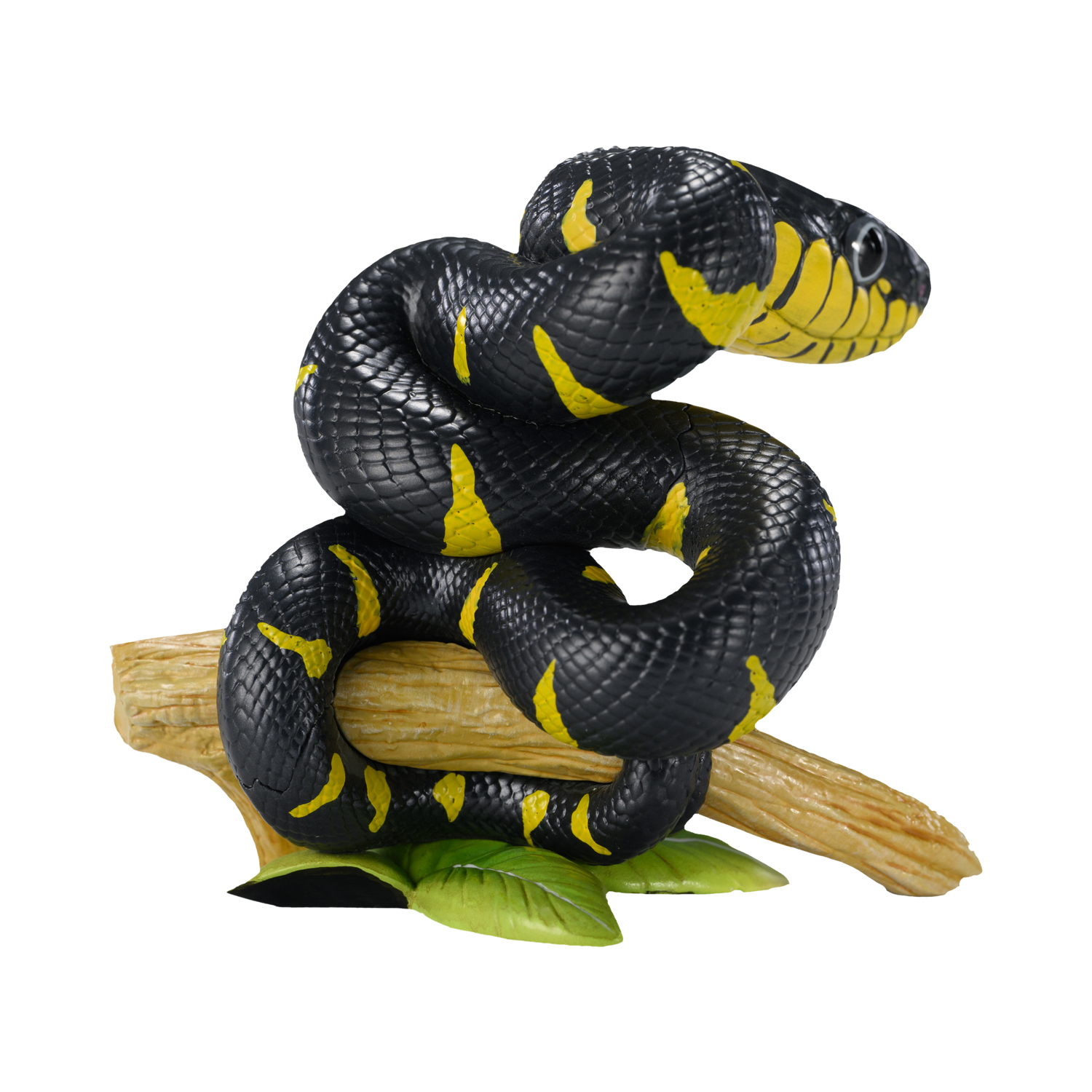 AHB-V23-01-02 AHB Series 23 - Mangrove Snake – Boiga dendrophila melanota | Snake