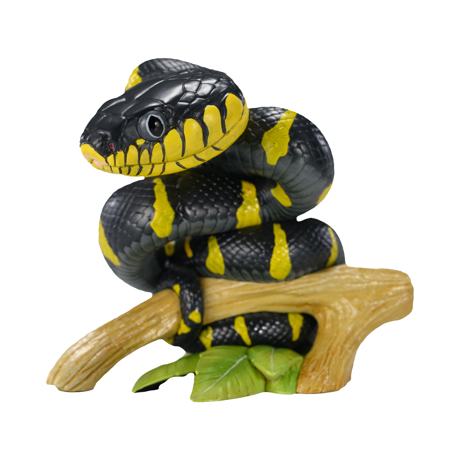 AHB-V23-01-03 AHB Series 23 - Mangrove Snake – Boiga dendrophila melanota | Snake