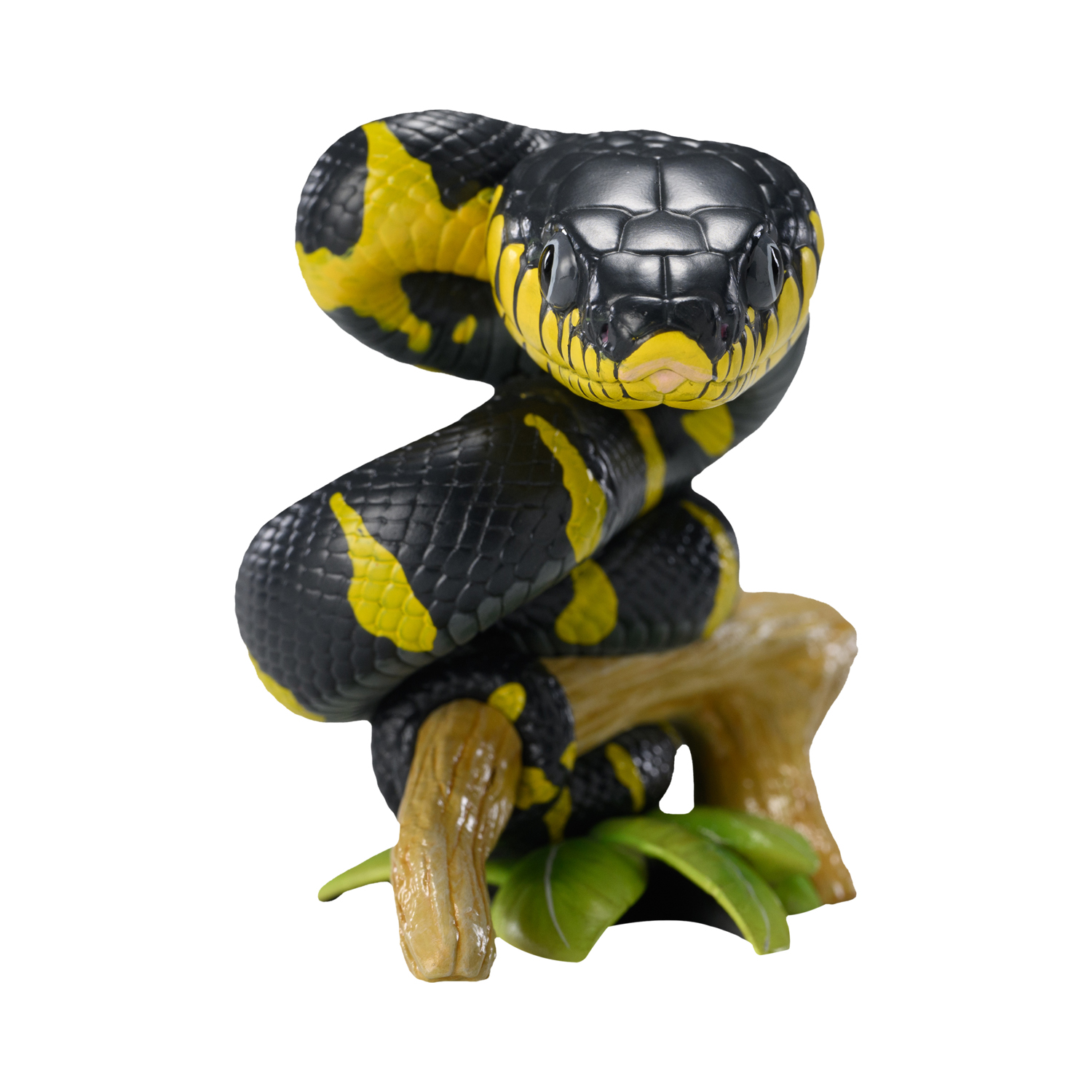 AHB-V23-01-04 AHB Series 23 - Mangrove Snake – Boiga dendrophila melanota | Snake