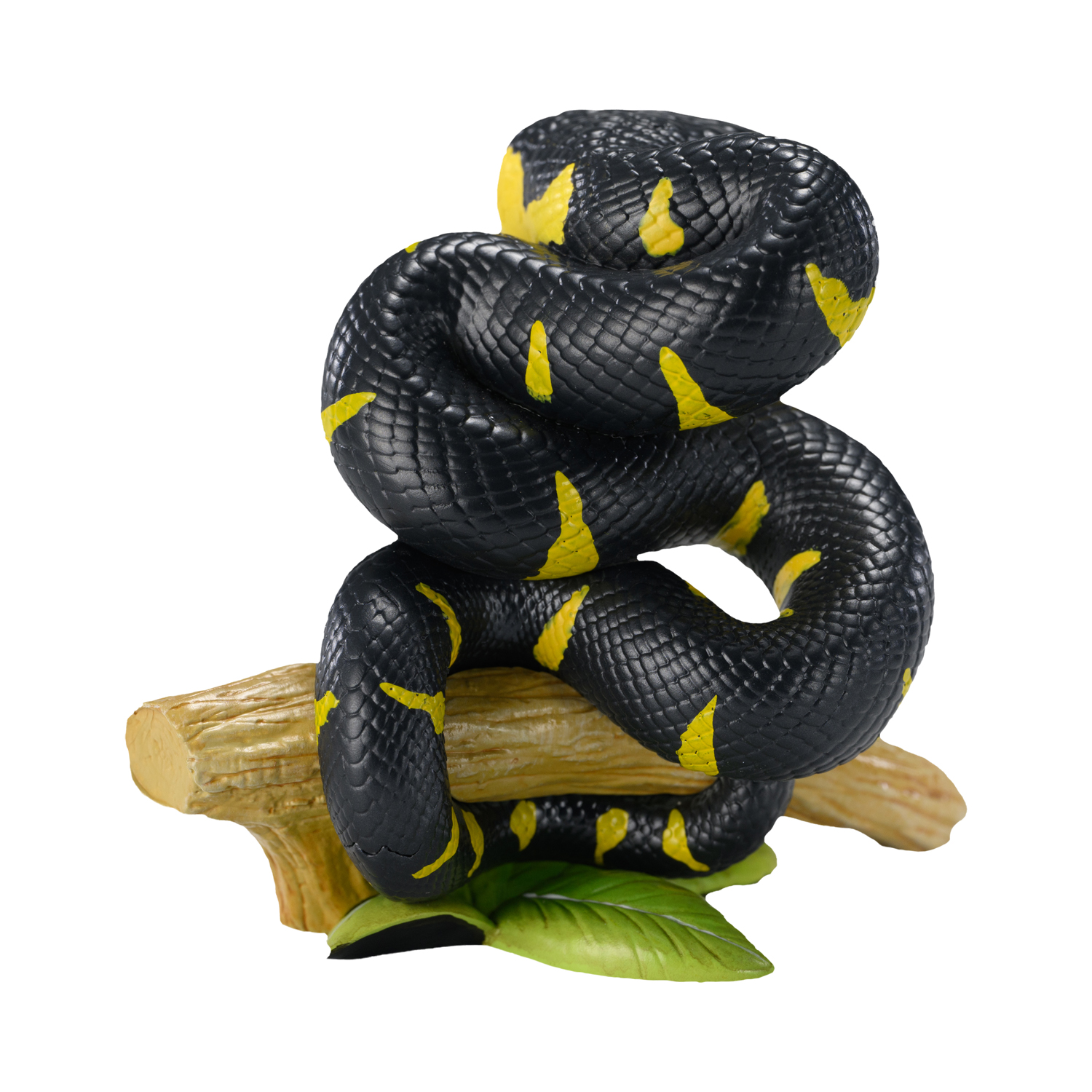 AHB-V23-01-05 AHB Series 23 - Mangrove Snake – Boiga dendrophila melanota | Snake
