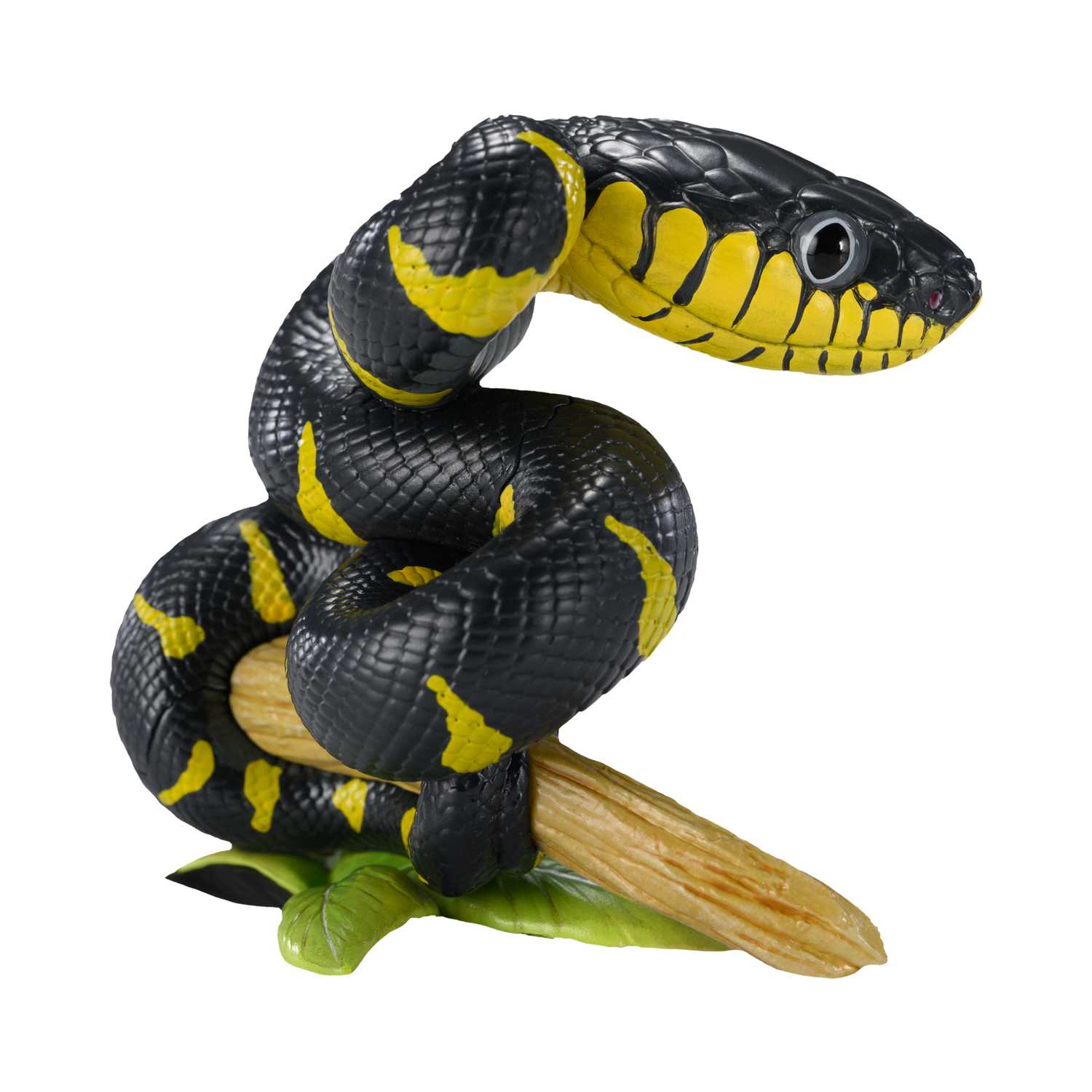 AHB-V23-01-06 AHB Series 23 - Mangrove Snake – Boiga dendrophila melanota | Snake