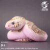 AHB Series 23 - Pine Snake – Pituophis melanoleucus | Snake