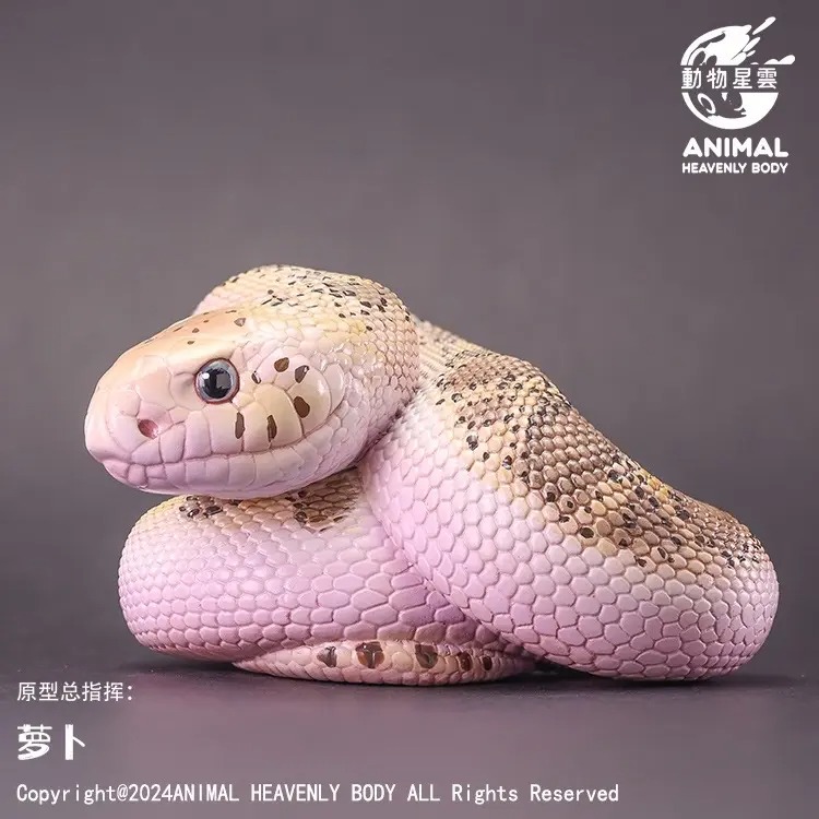 AHB Series 23 - Pine Snake – Pituophis melanoleucus | Snake