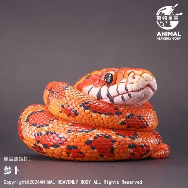 AHB Series 23 - Corn Snake – Pantherophis guttatus | Snake
