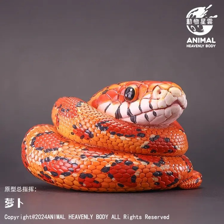 AHB Series 23 - Corn Snake – Pantherophis guttatus | Snake