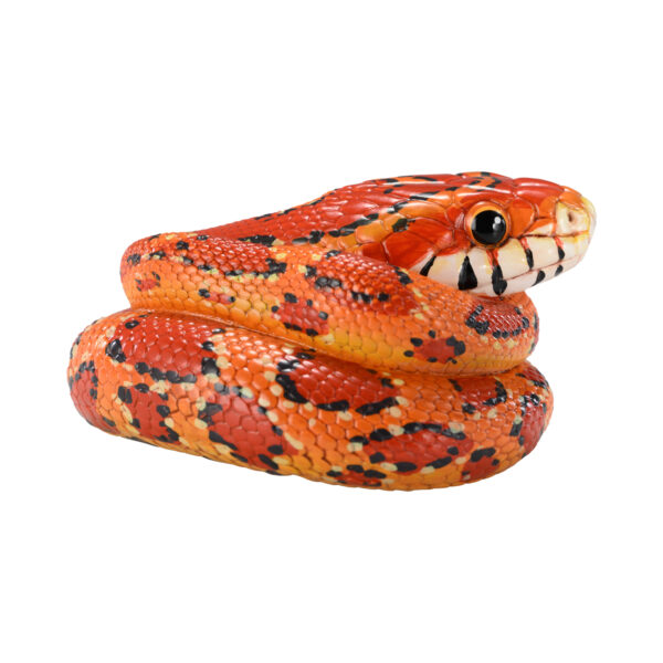 AHB Series 23 - Corn Snake – Pantherophis guttatus | Snake