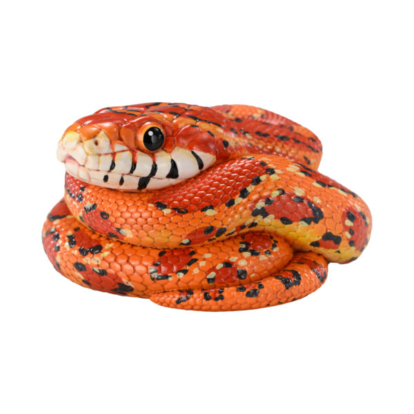 AHB Series 23 - Corn Snake – Pantherophis guttatus | Snake