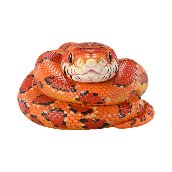 AHB Series 23 - Corn Snake – Pantherophis guttatus | Snake