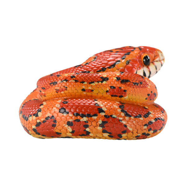 AHB Series 23 - Corn Snake – Pantherophis guttatus | Snake