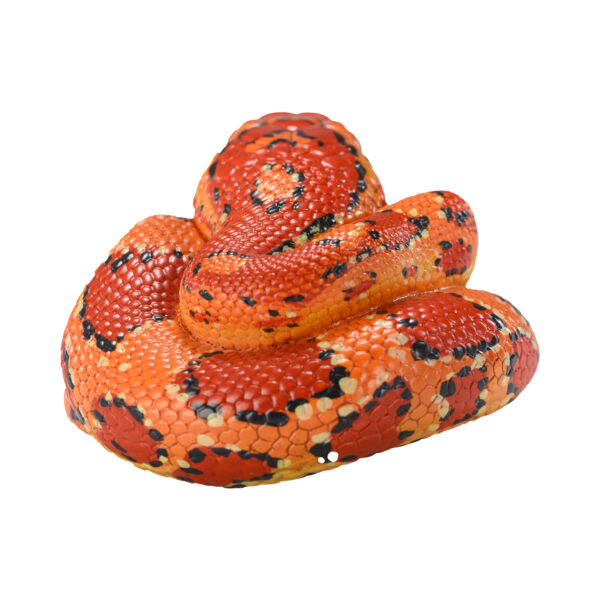 AHB Series 23 - Corn Snake – Pantherophis guttatus | Snake