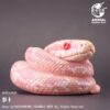AHB-V23-04-01 AHB Series 23 - Corn Snake (Coral Snow) – Pantherophis guttatus | Snake