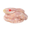 AHB-V23-04-02 AHB Series 23 - Corn Snake (Coral Snow) – Pantherophis guttatus | Snake