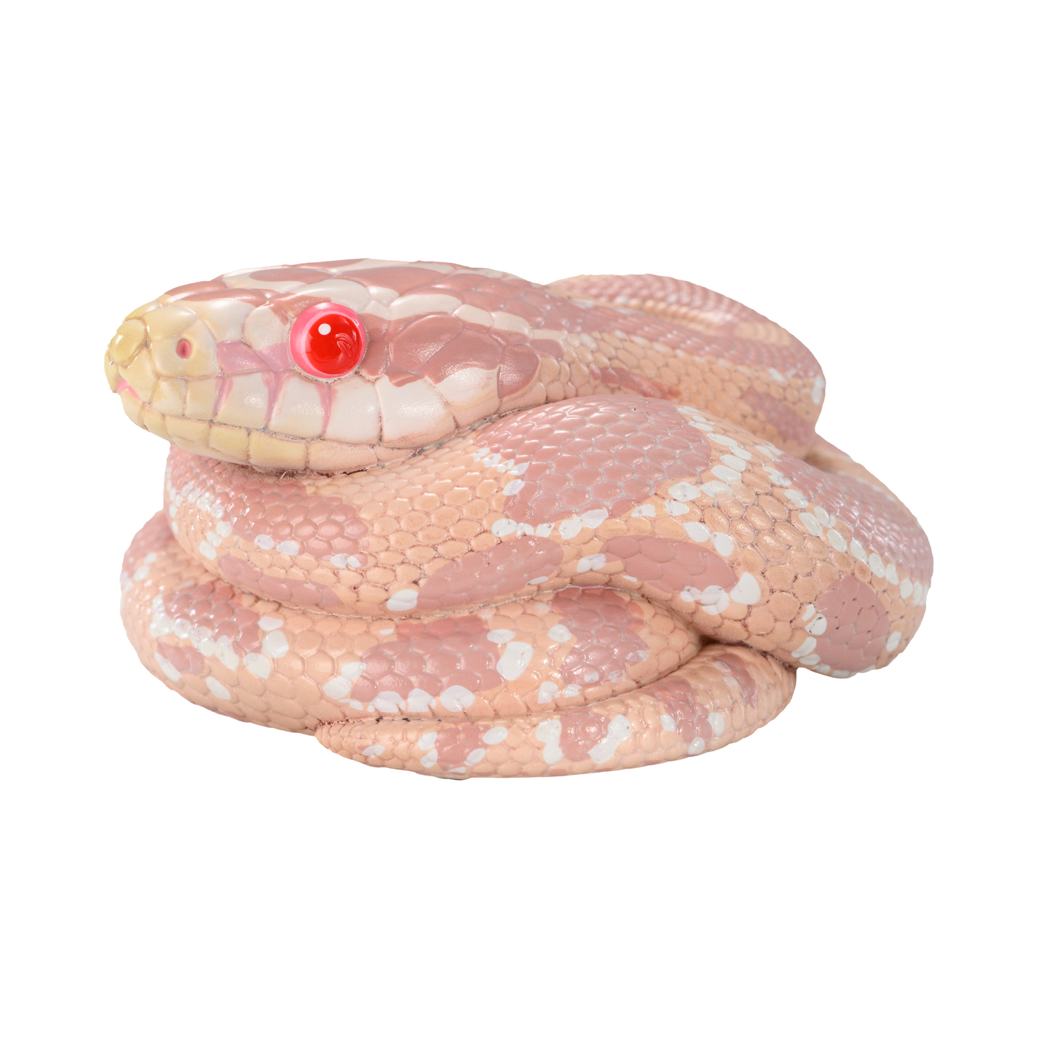 AHB-V23-04-02 AHB Series 23 - Corn Snake (Coral Snow) – Pantherophis guttatus | Snake
