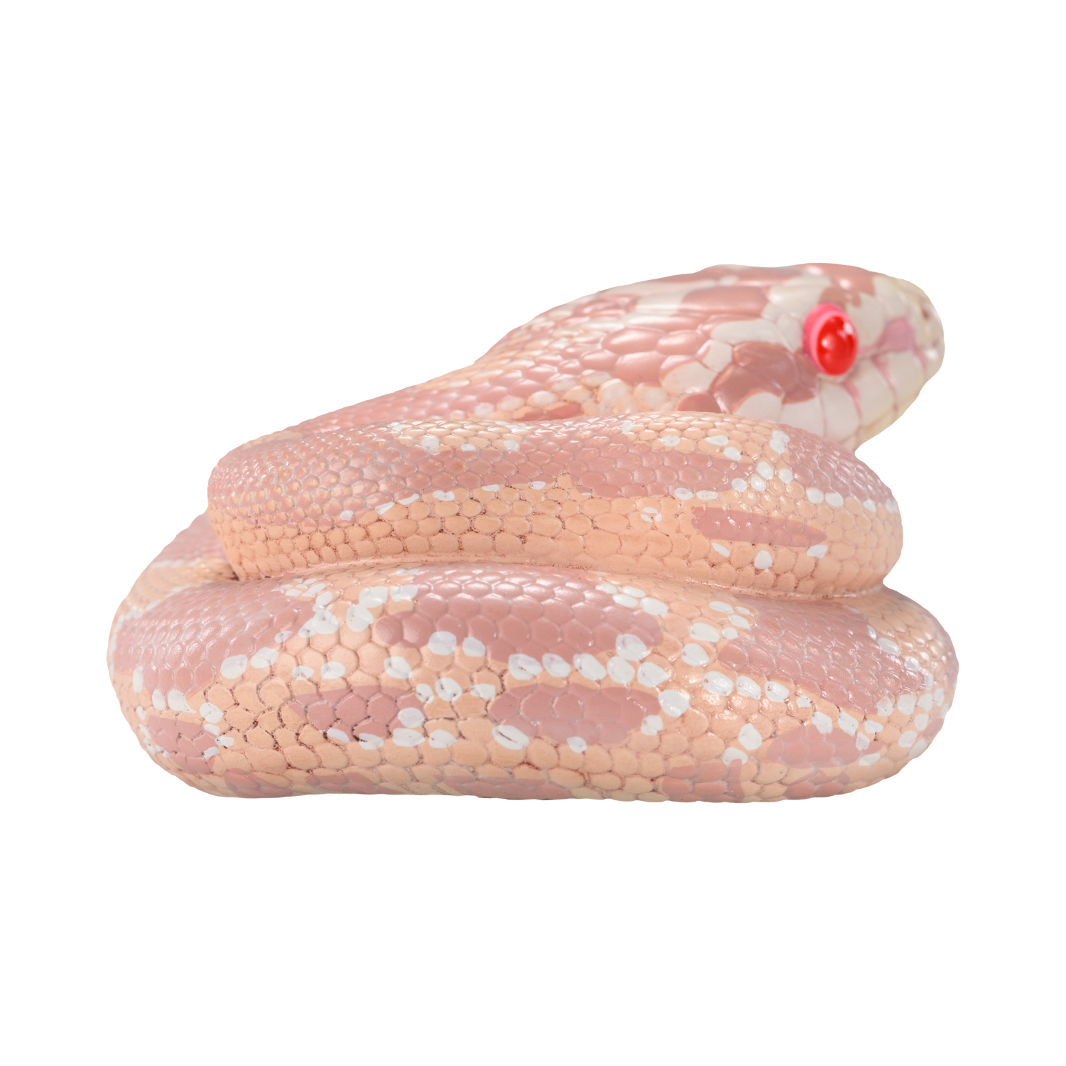 AHB-V23-04-03 AHB Series 23 - Corn Snake (Coral Snow) – Pantherophis guttatus | Snake