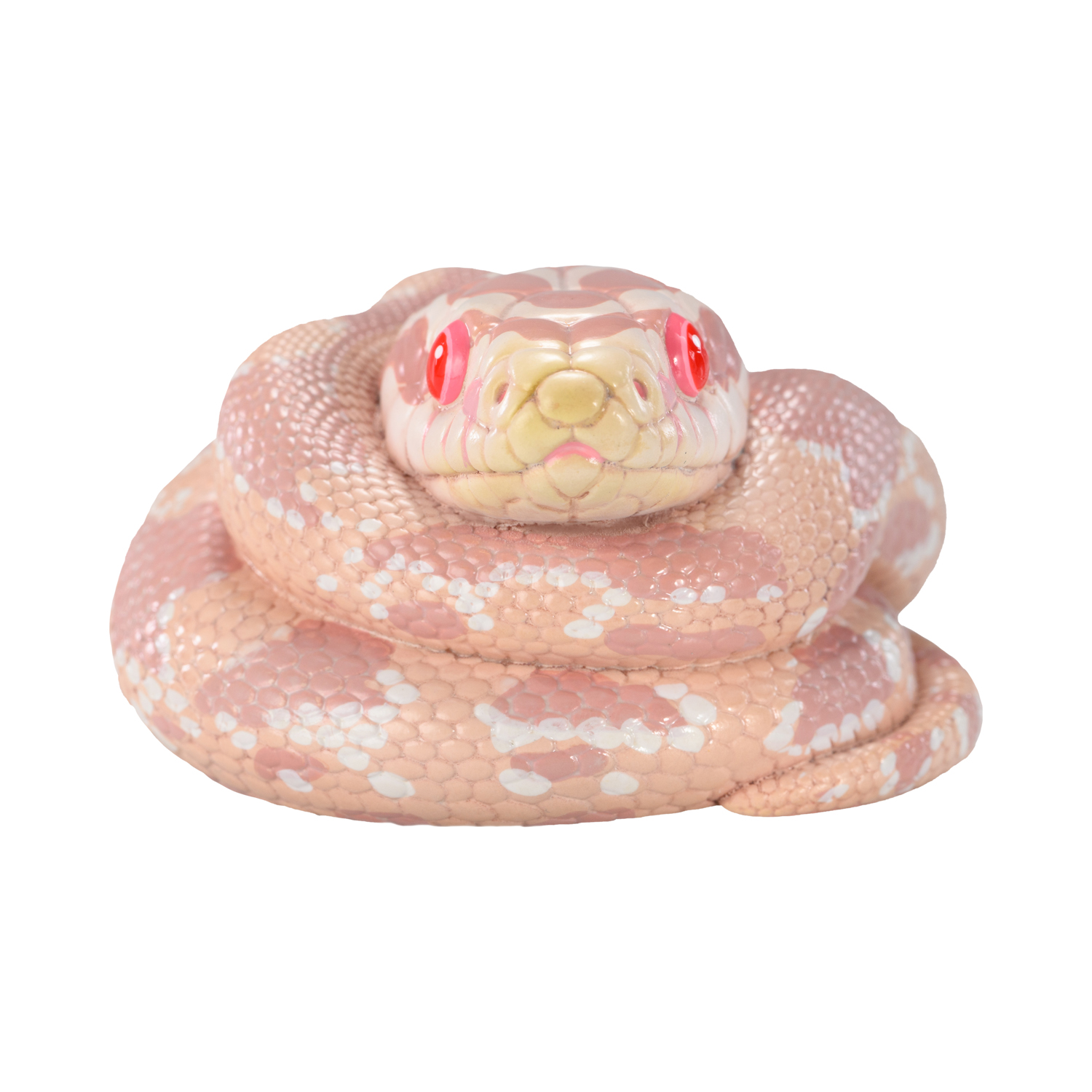 AHB-V23-04-04 AHB Series 23 - Corn Snake (Coral Snow) – Pantherophis guttatus | Snake