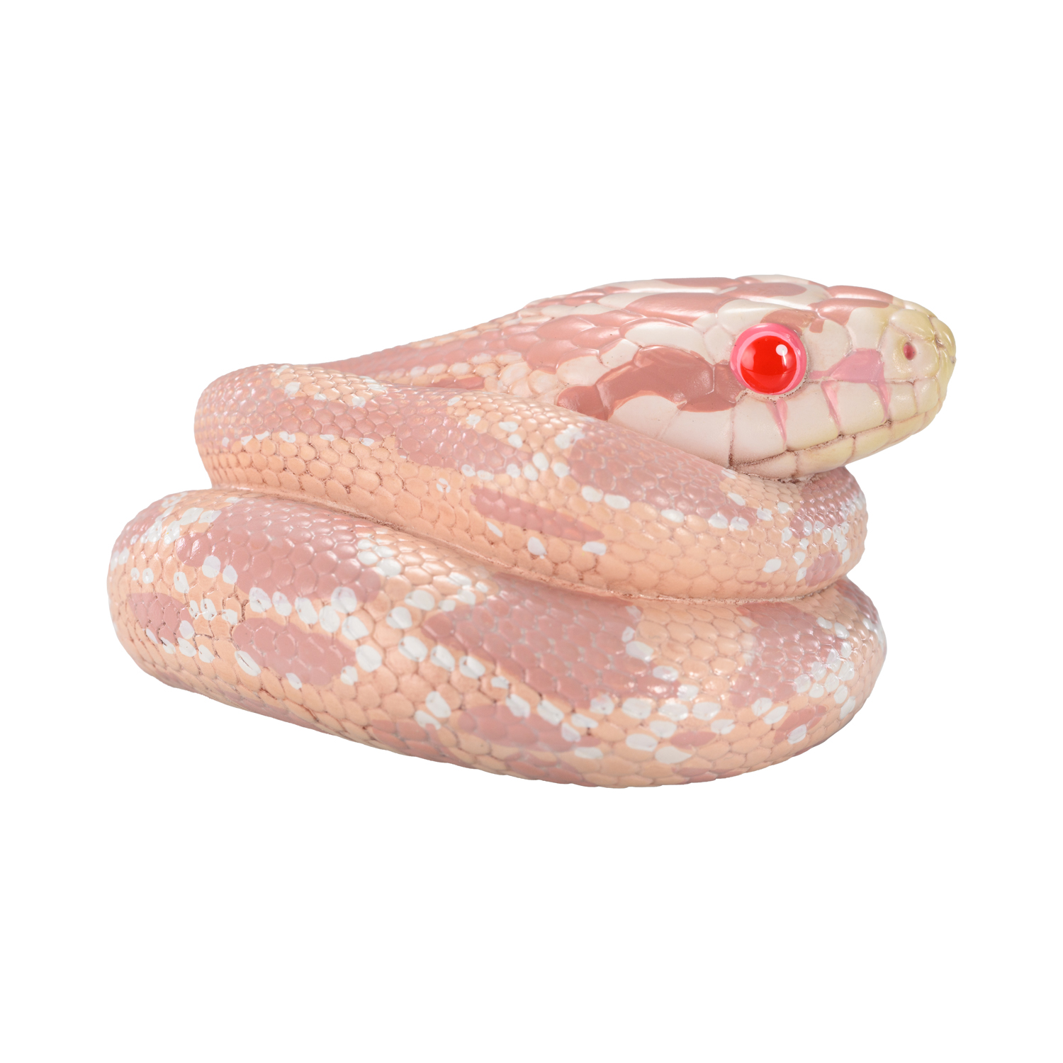 AHB-V23-04-06 AHB Series 23 - Corn Snake (Coral Snow) – Pantherophis guttatus | Snake