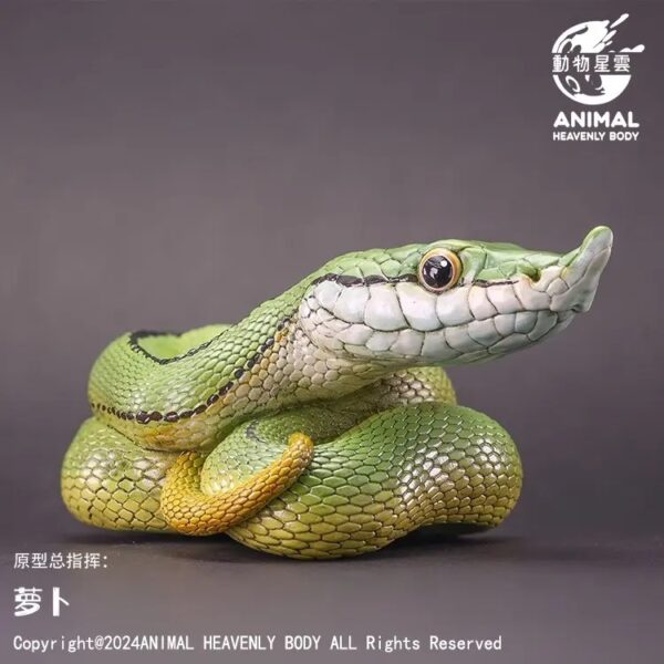 AHB-V23-05-01 AHB Series 23 - Baron’s Green Racer – Philodryas baroni | Snake