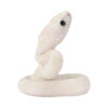 AHB-V23-08-02 AHB Series 23 - Texas Rat Snake (Leucistic) – Elaphe obsoleta lindheimeri | Snake