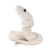 AHB-V23-08-04 AHB Series 23 - Texas Rat Snake (Leucistic) – Elaphe obsoleta lindheimeri | Snake