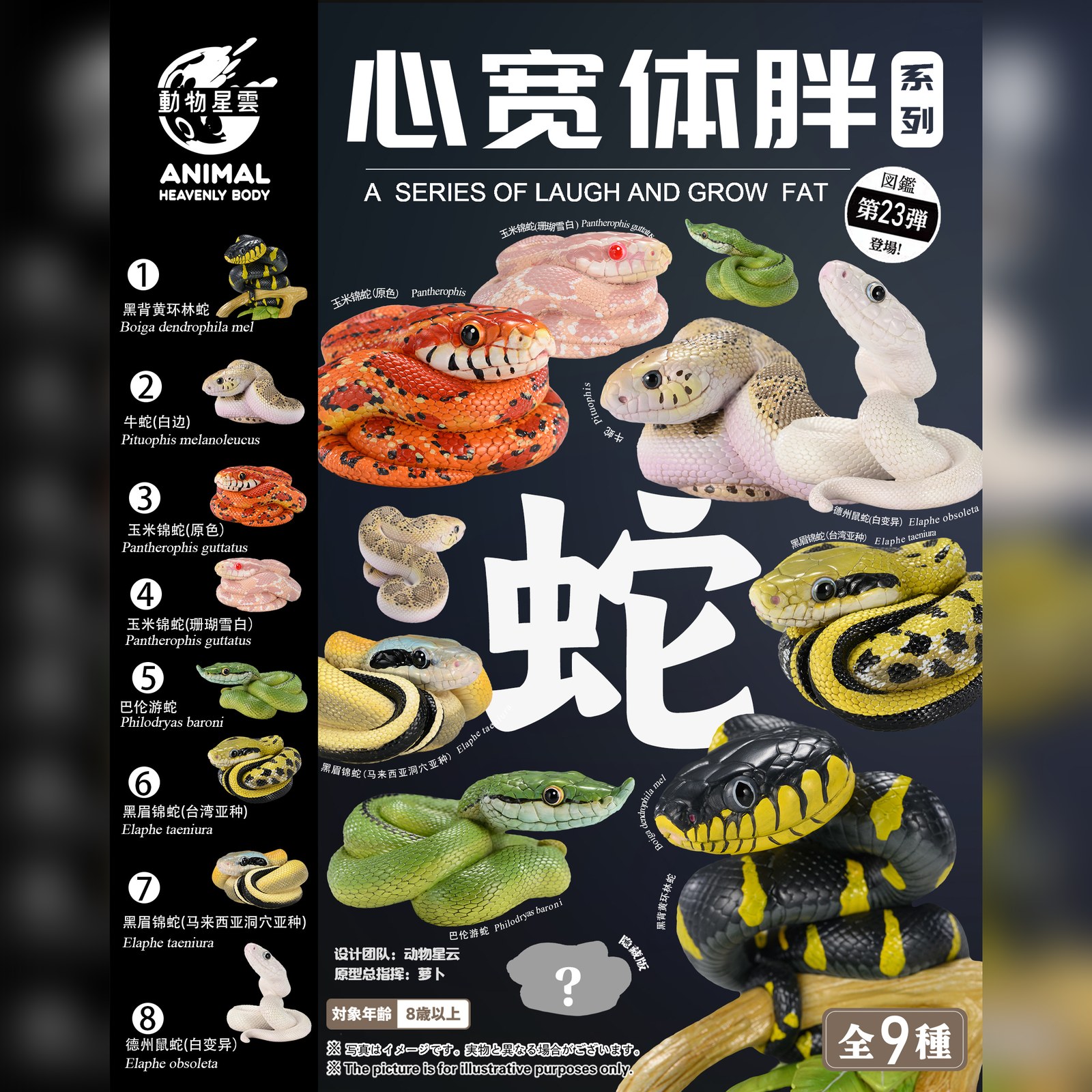 AHB Series 23 - Pine Snake – Pituophis melanoleucus | Snake
