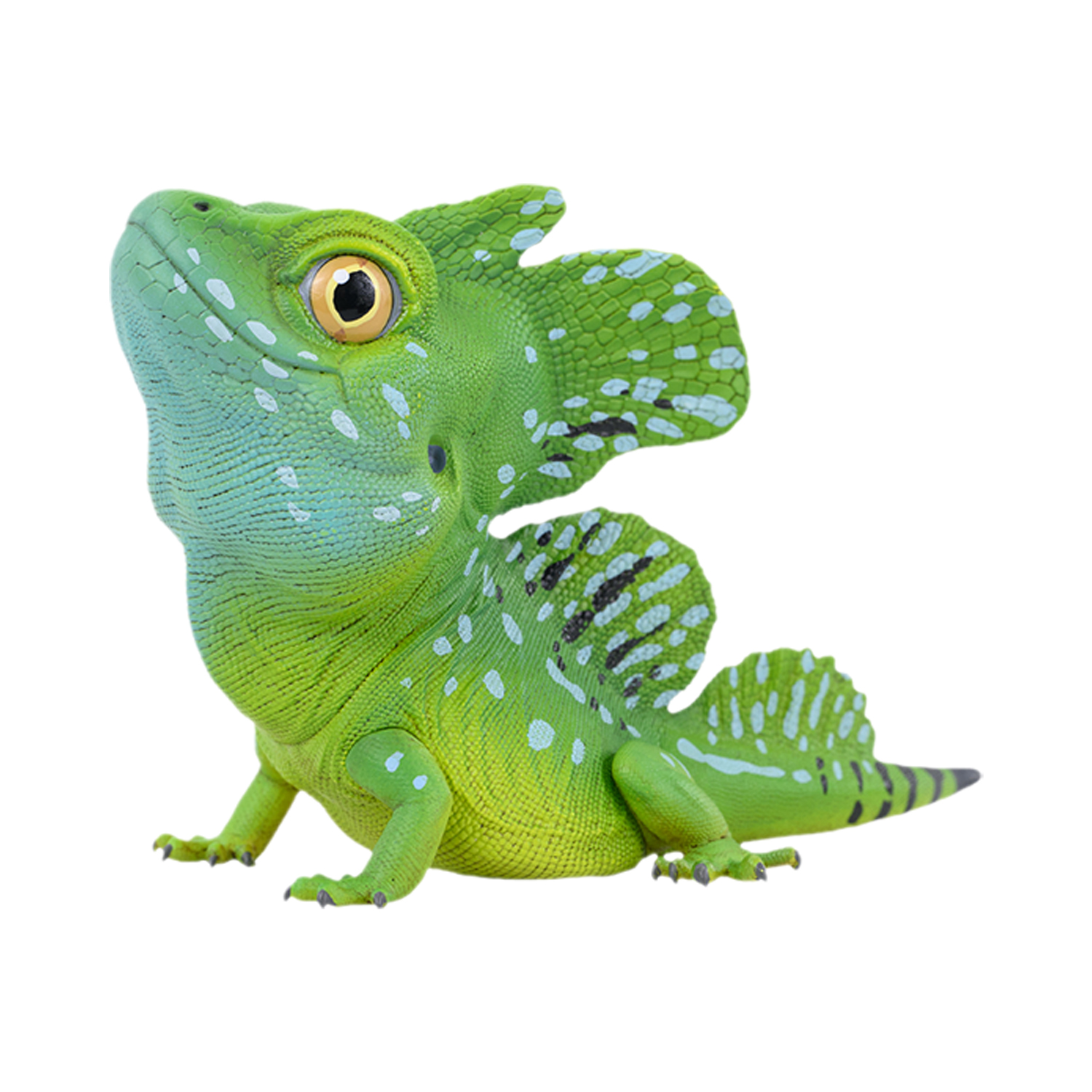 AHB Series 24 - Green Basilisk – Basiliscus plumifrons | Lizard