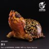 AHB Series 25 - Eastern Box Turtle (Orange) – Terrapene carolina carolina | Turtle