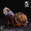 AHB Series 25 - Mexican Box Turtle – Terrapene mexicana | Turtle