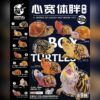AHB Series 25 - Florida Box Turtle – Terrapene carolina bauri | Turtle