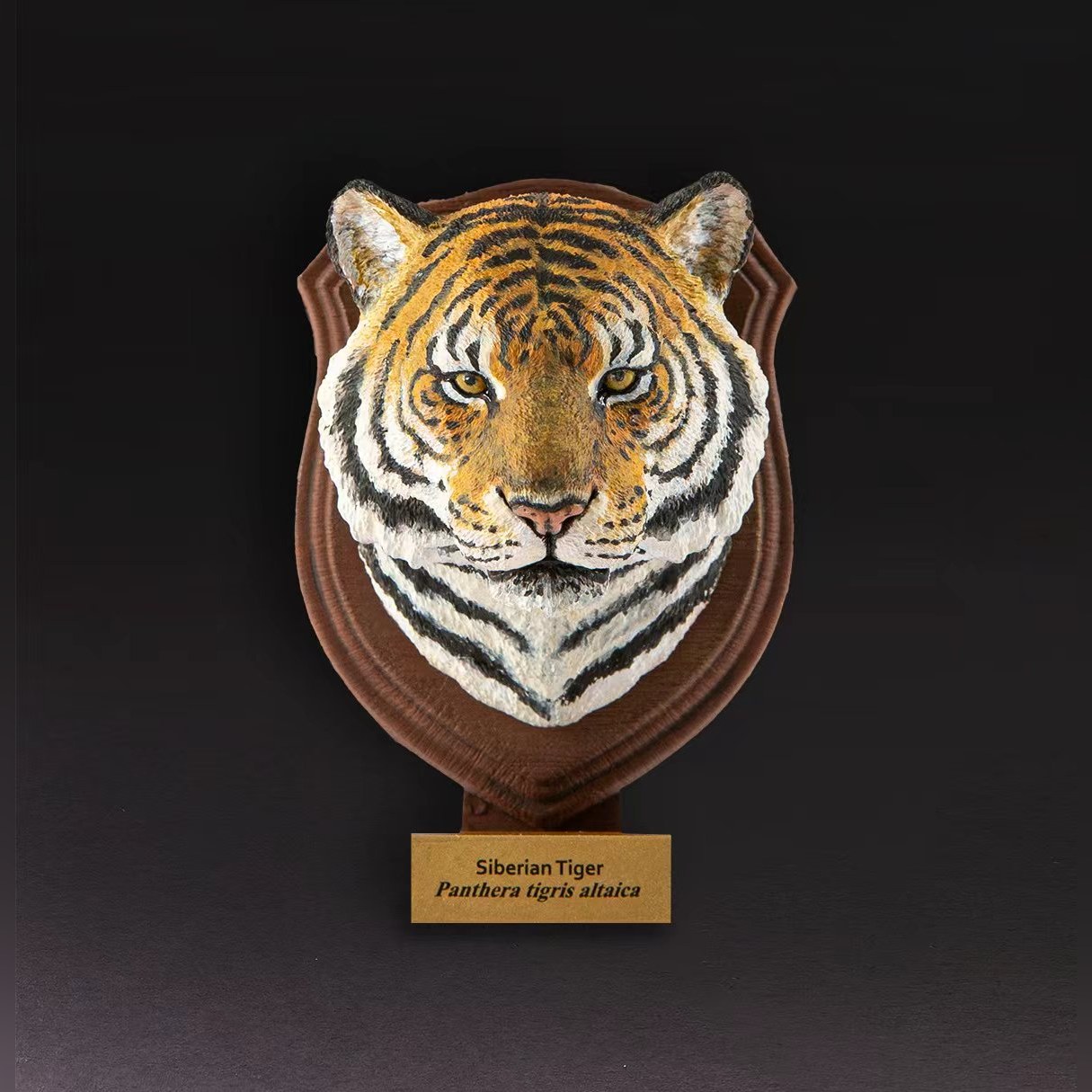 Animal Heavenly Body - World Encyclopedia of Animals Vol.1 Siberian Tiger | Figure