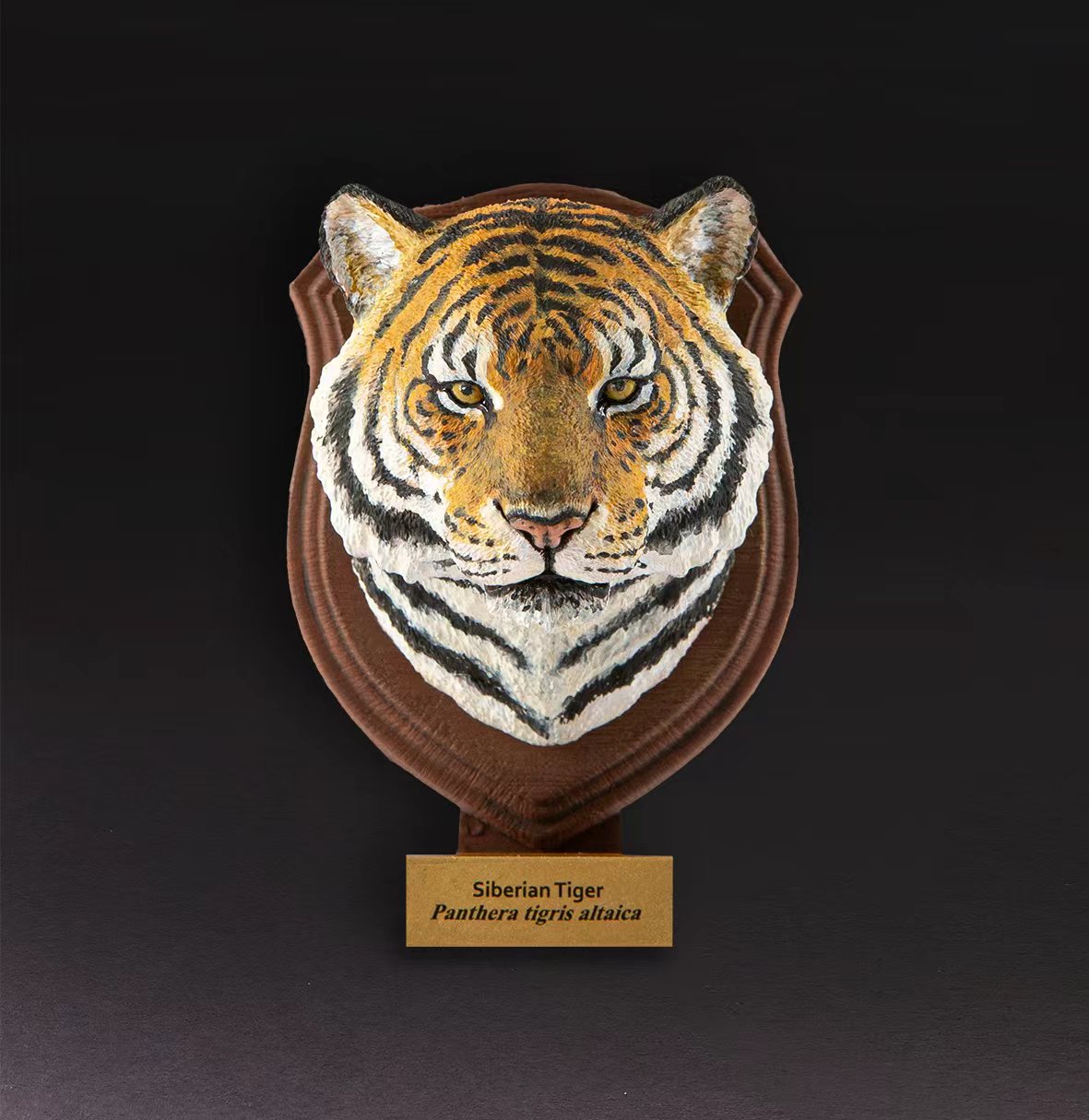 Siberian Tiger