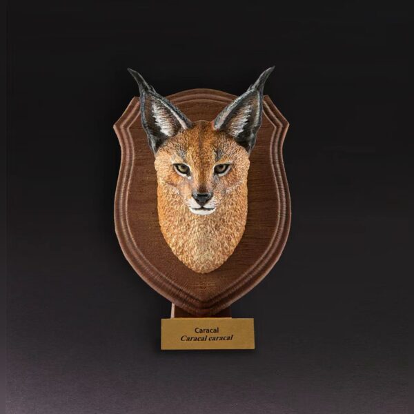 AHB-WA1-02-4b097629 Animal Heavenly Body - World Encyclopedia of Animals Vol.1 Caracal | Figure