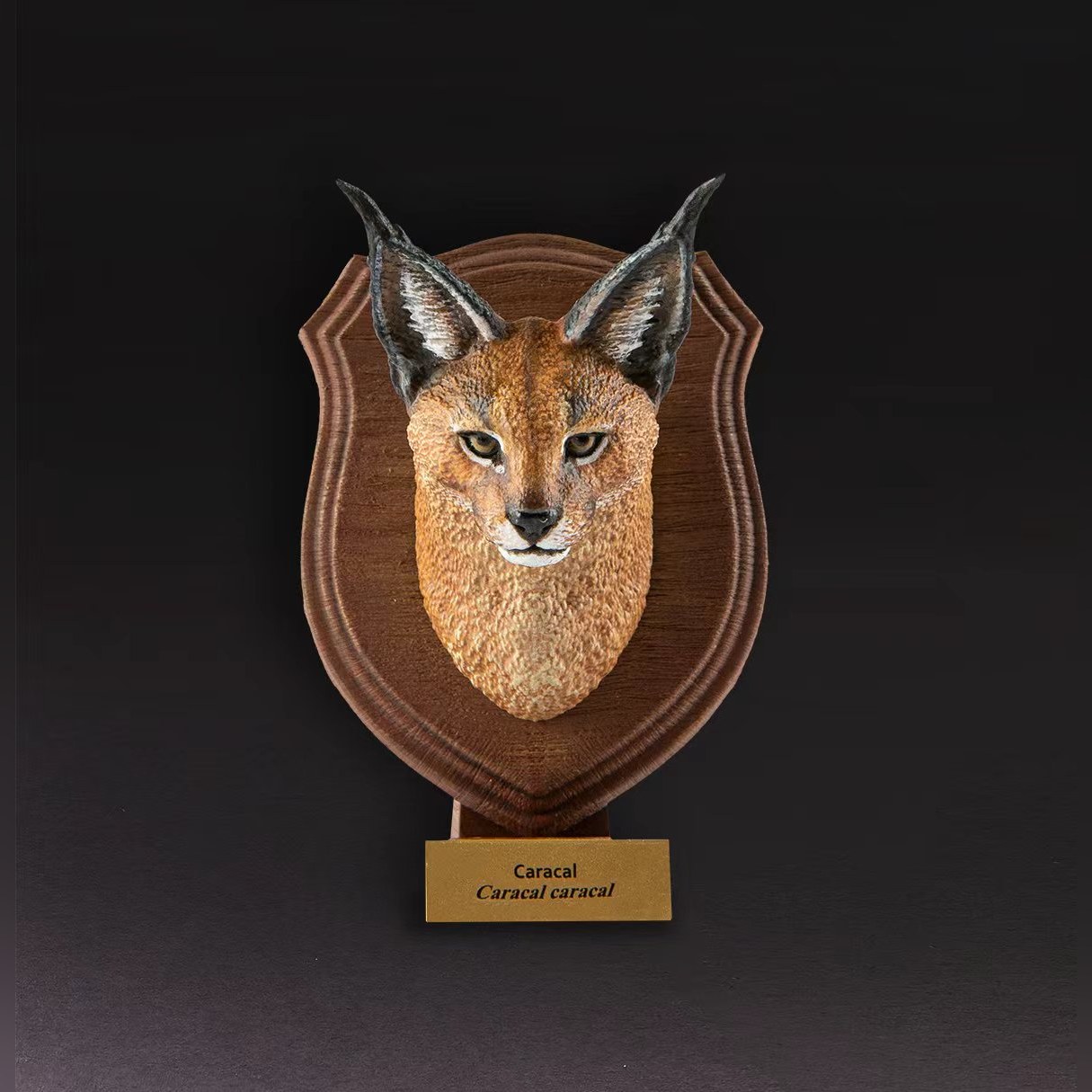 Animal Heavenly Body - World Encyclopedia of Animals Vol.1 Caracal | Figure