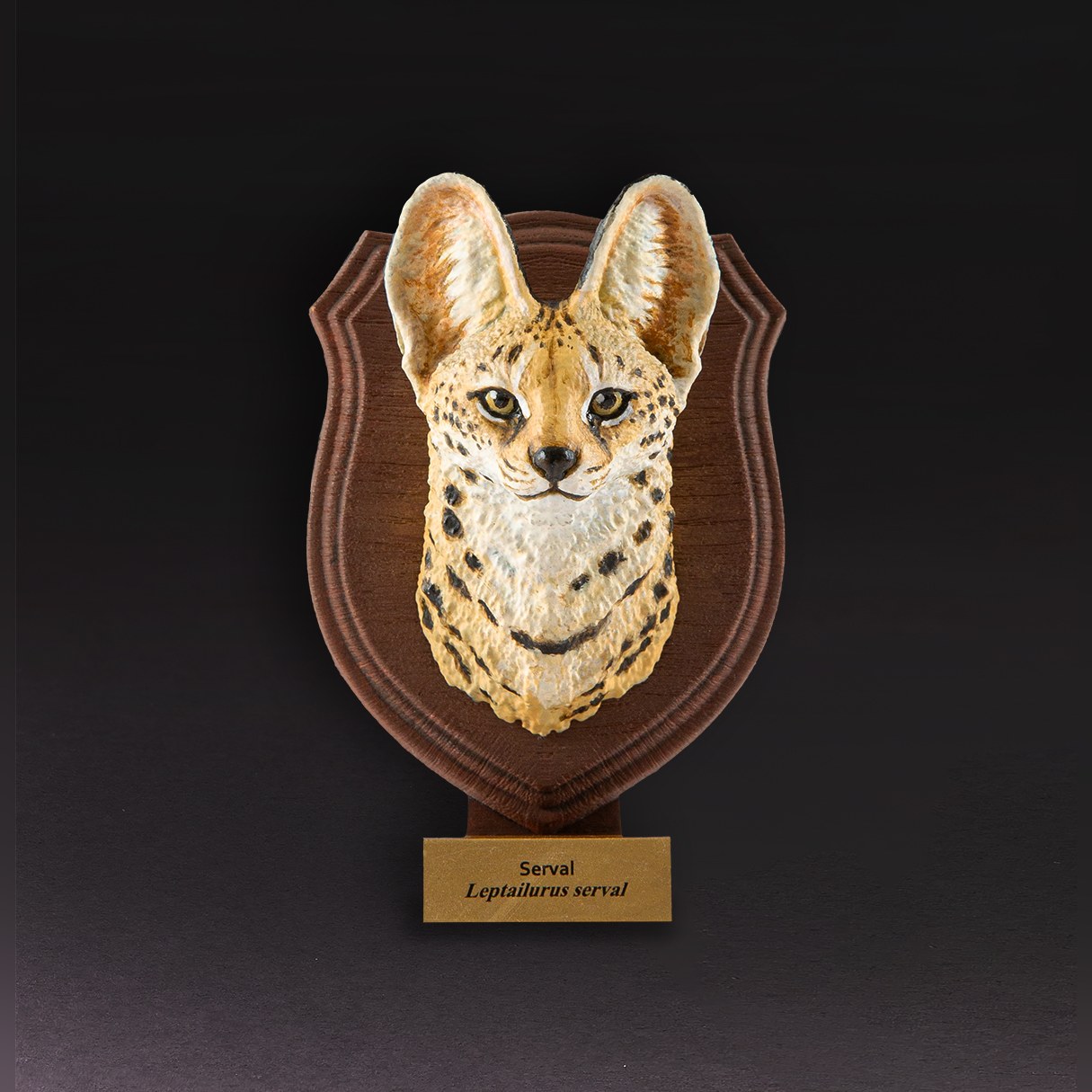 Animal Heavenly Body - World Encyclopedia of Animals Vol.1 Serval | Figure